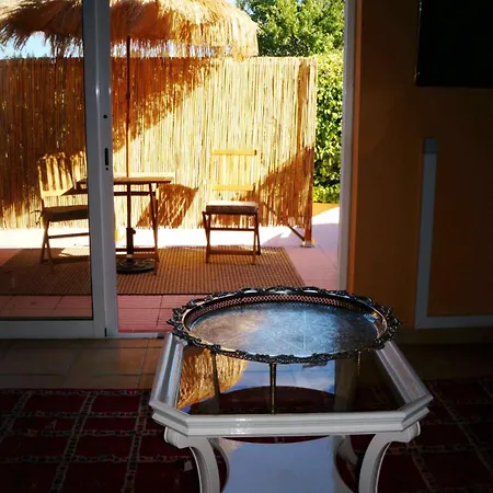 Seventies Cheap & Chic Ii Albardeira