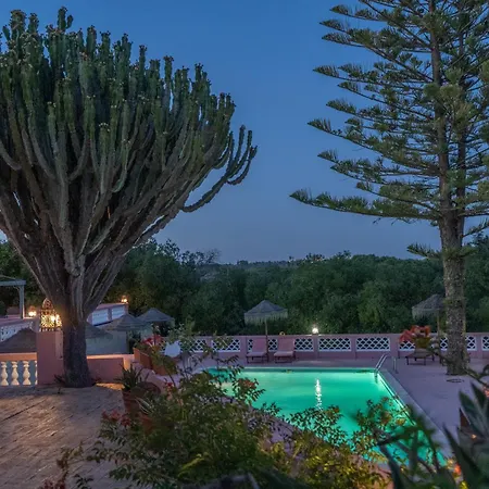 Seventies Cheap & Chic Ii 3*