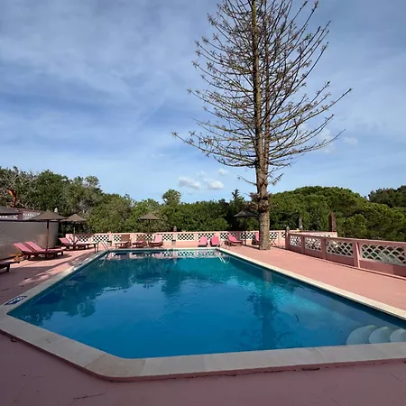 Seventies Cheap & Chic Ii